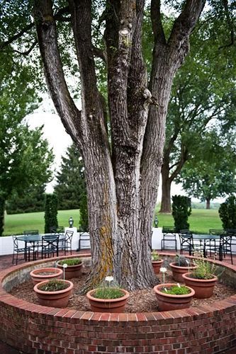 Batten Green Venue & Lodging Staunton Luaran gambar